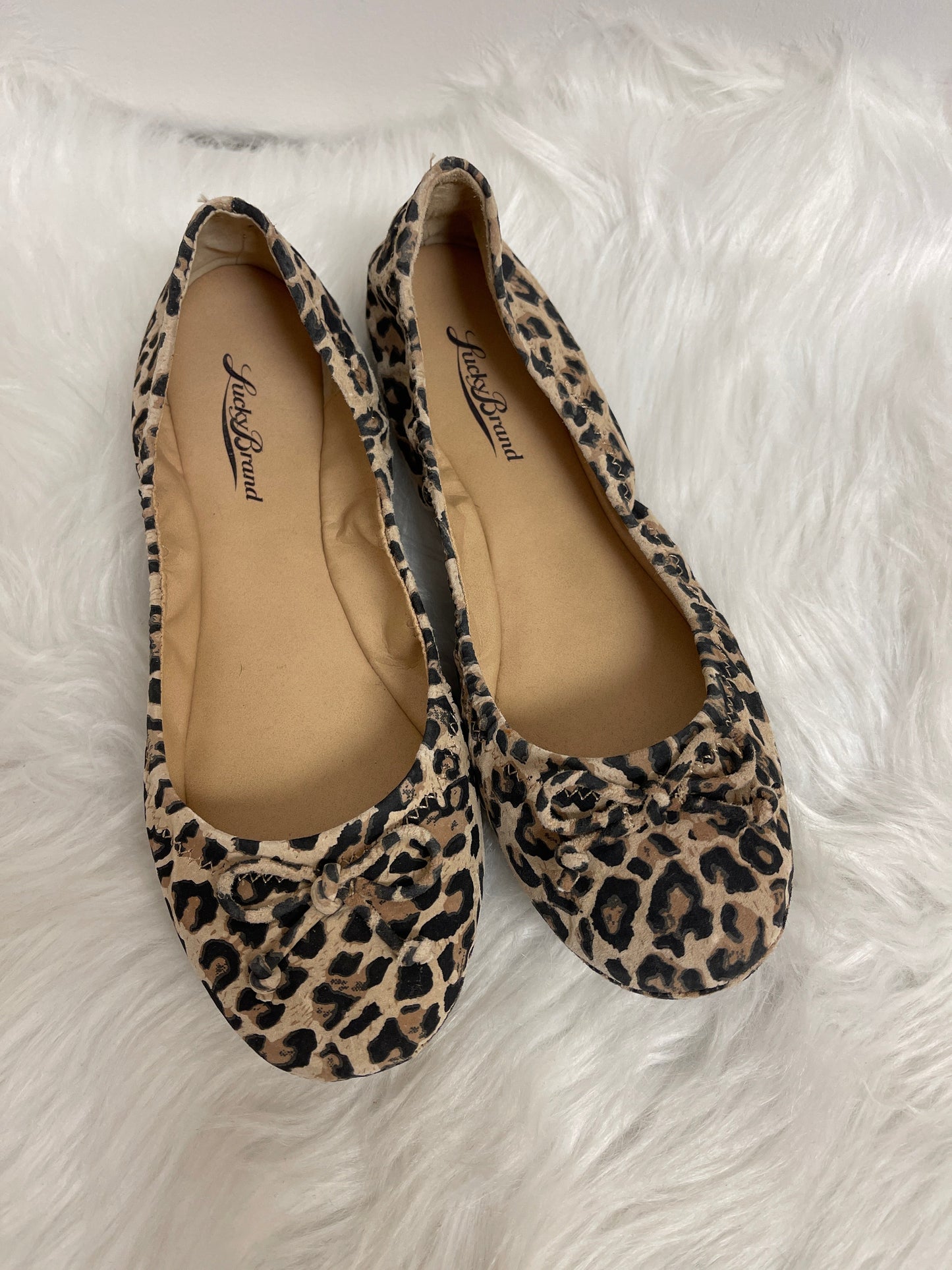 Animal Print Shoes Flats Lucky Brand, Size 7.5