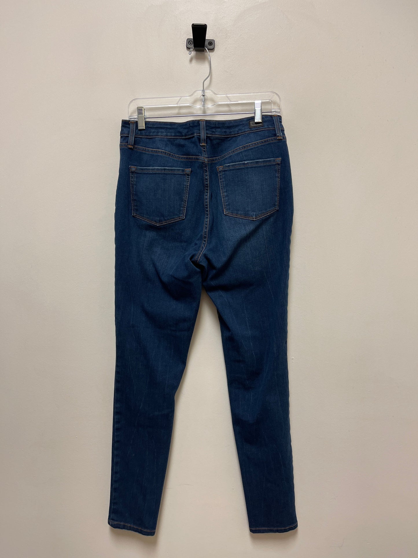 Blue Denim Jeans Skinny Clothes Mentor, Size 10