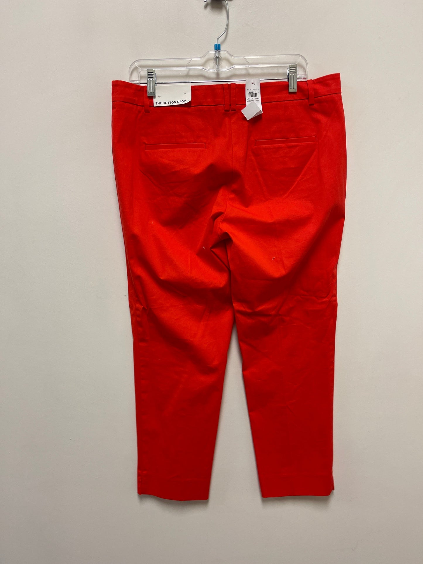 Pants Other By Ann Taylor In Orange, Size: 10