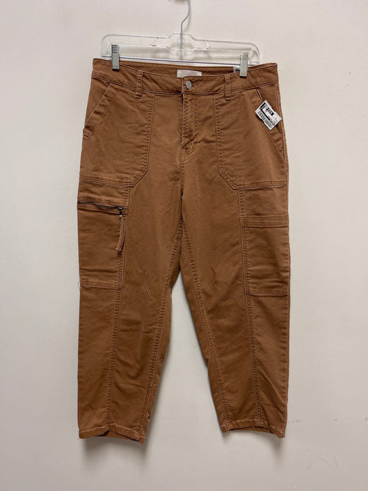 Pants Designer By Habitual In Brown, Size: 10