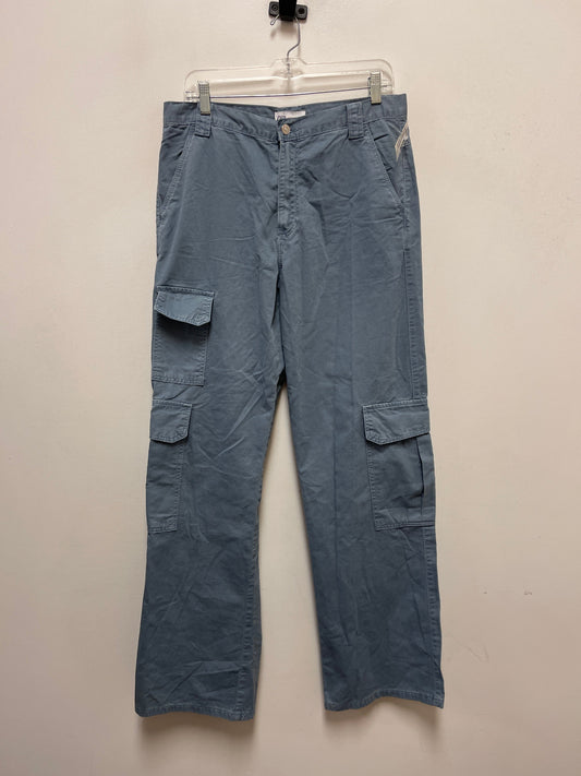 Pants Other By Zara In Blue, Size: 8