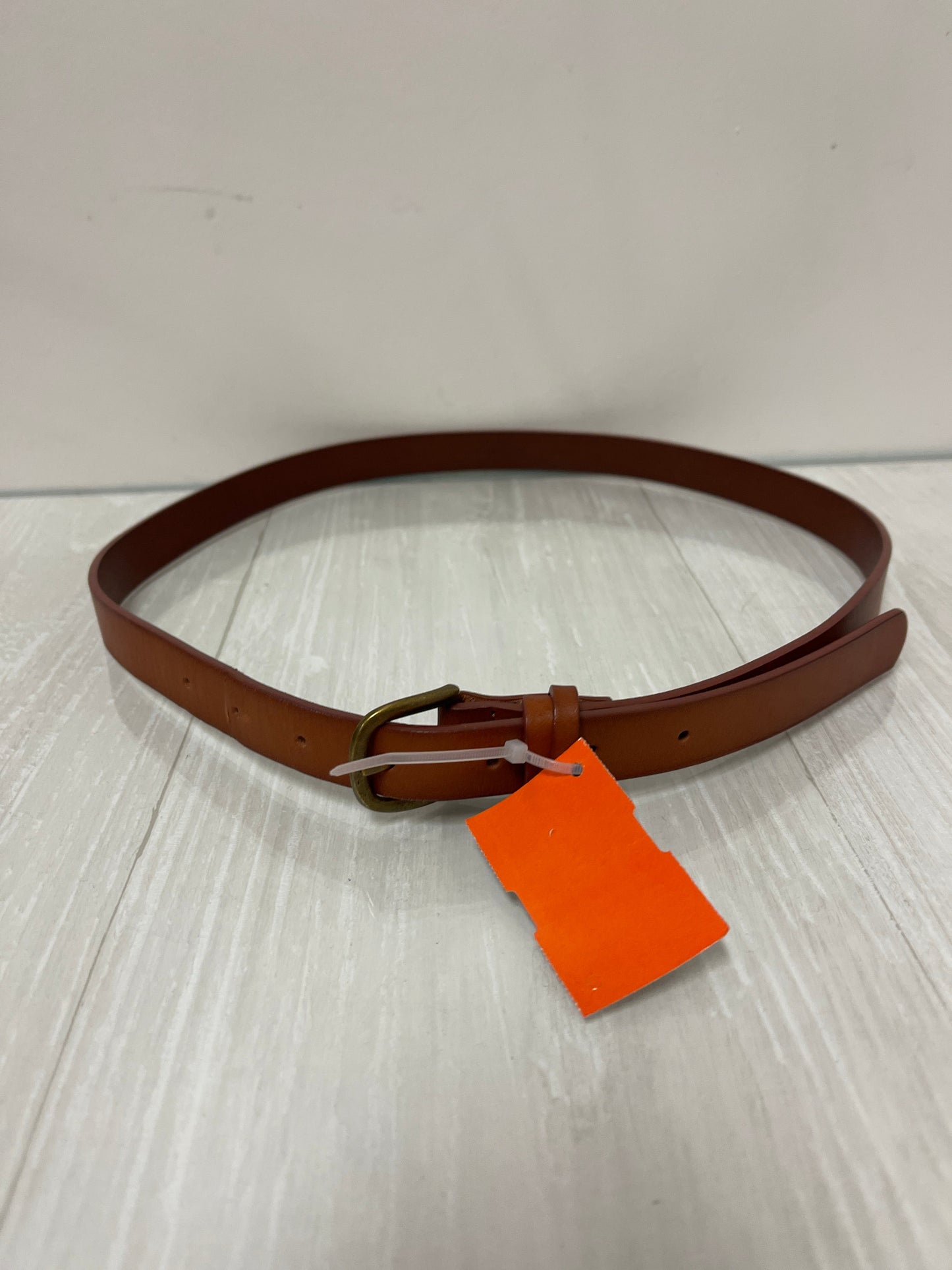 Belt By Loft