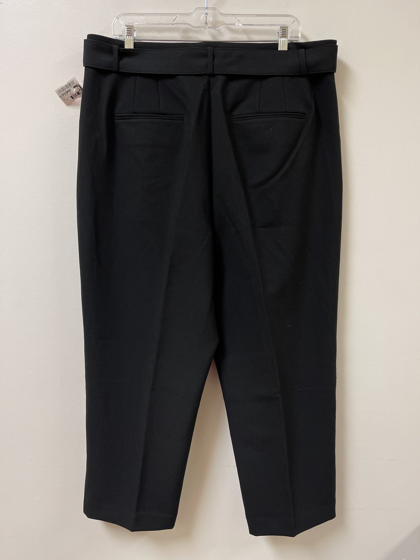 Pants Other By Ann Taylor  Size: 16