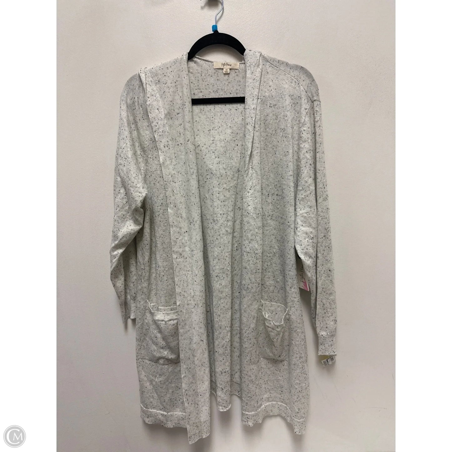 Sweater Cardigan By Peyton Primrose In Grey, Size: 1x