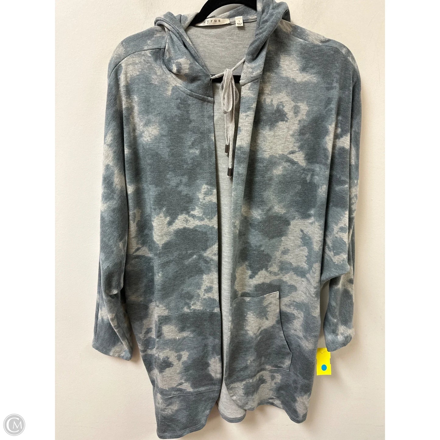 Sweater Cardigan By Cyrus In Grey, Size: L