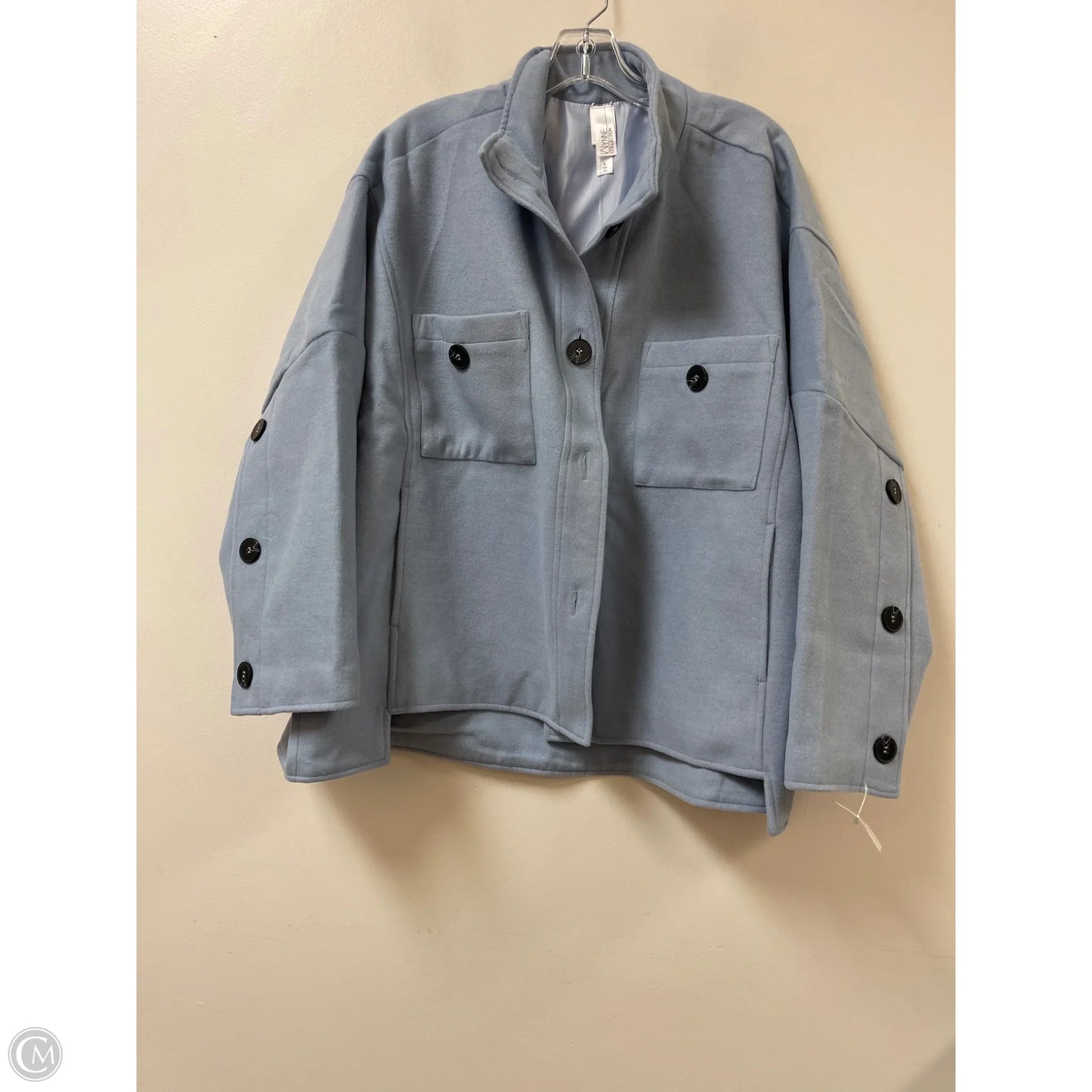 Coat Other By Clothes Mentor In Blue, Size: L