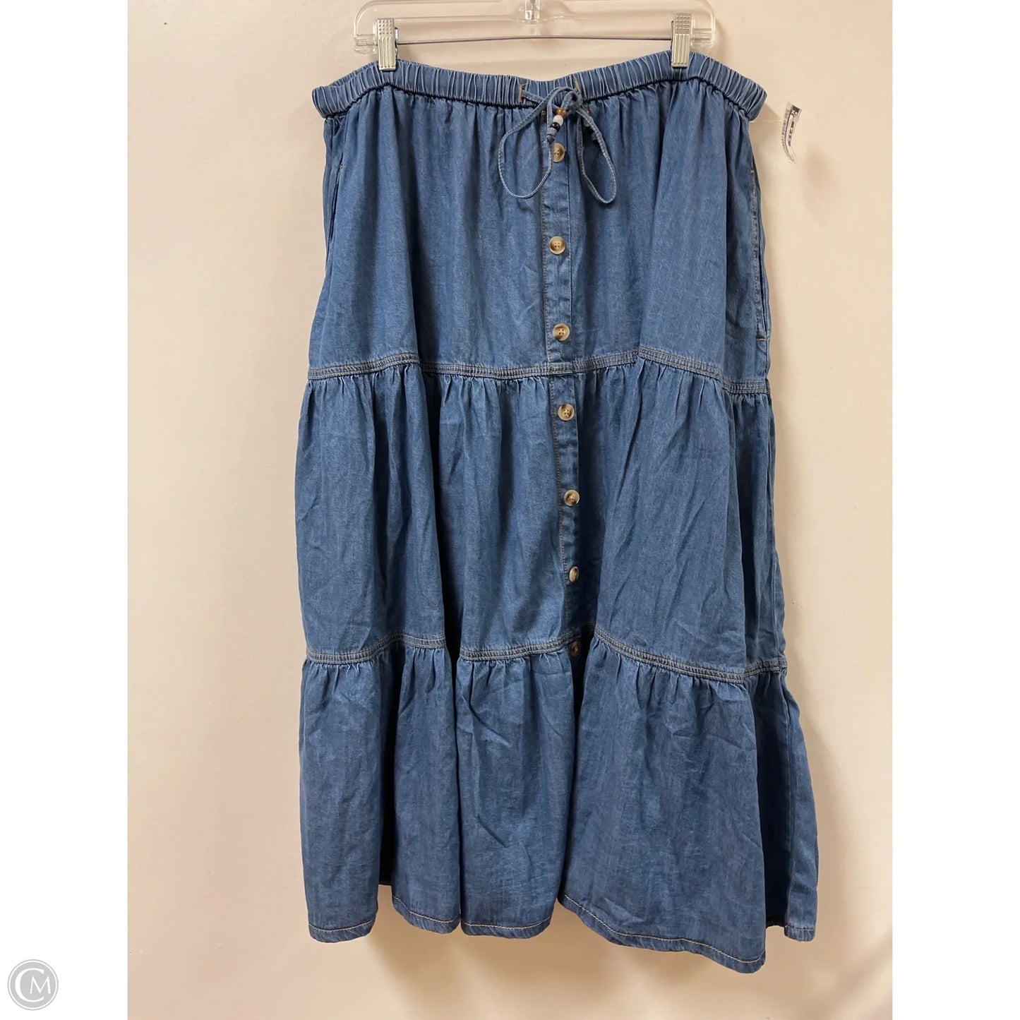 Skirt Maxi By Cider In Blue, Size: 22