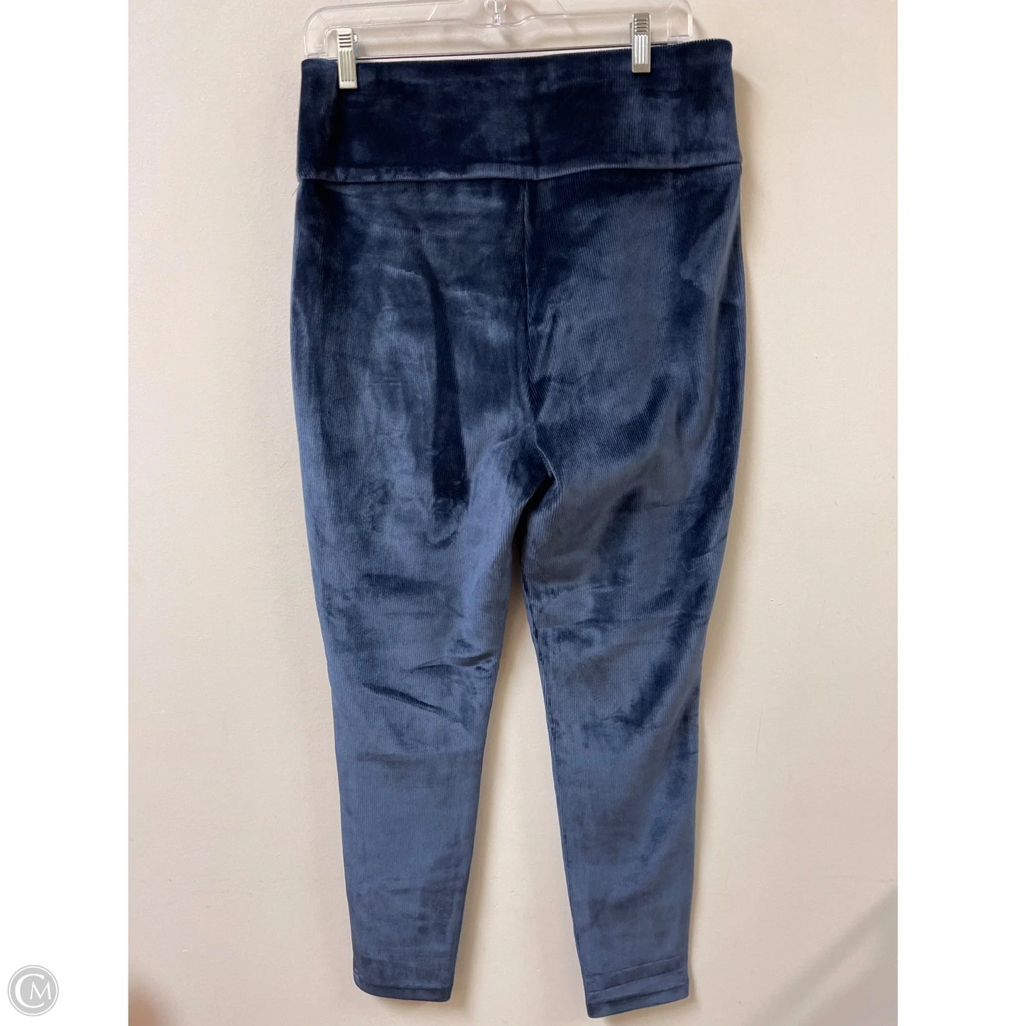 Pants Leggings By Wonderly In Blue, Size: 12