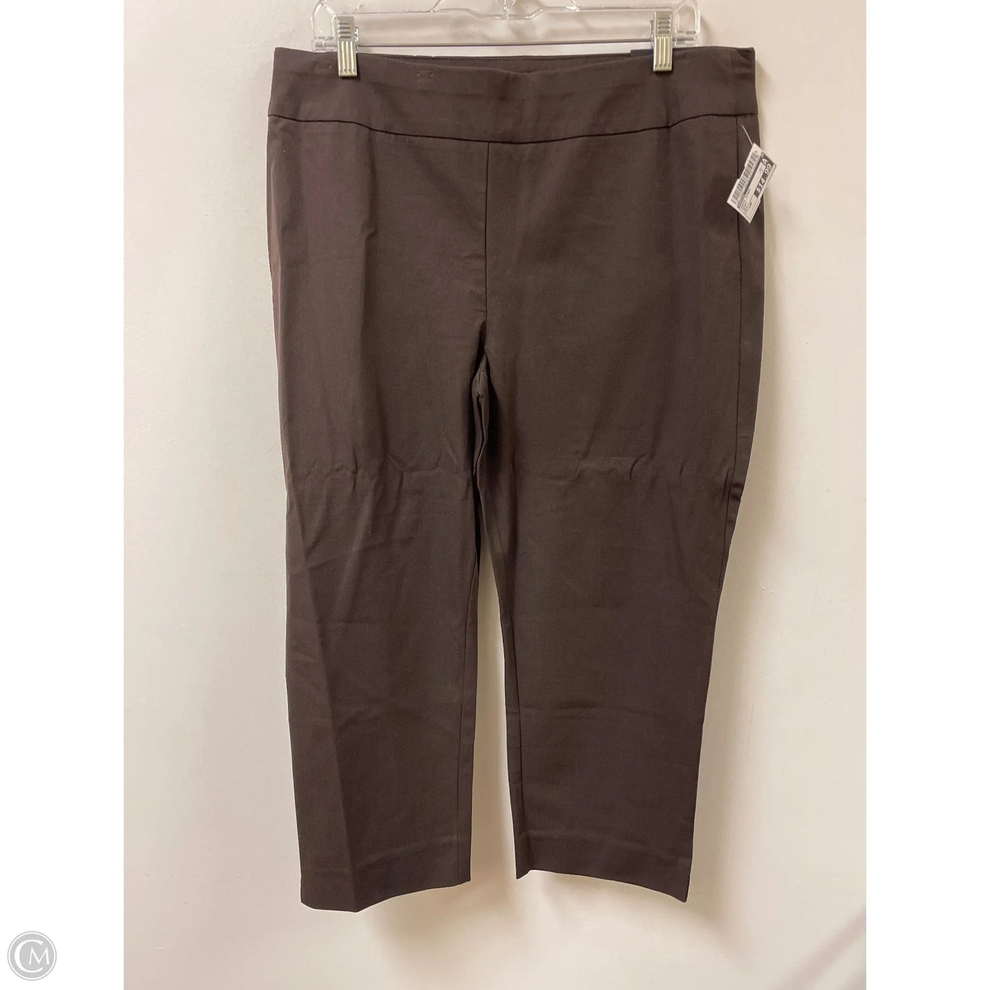 Pants Other By Chicos In Brown, Size: 14p