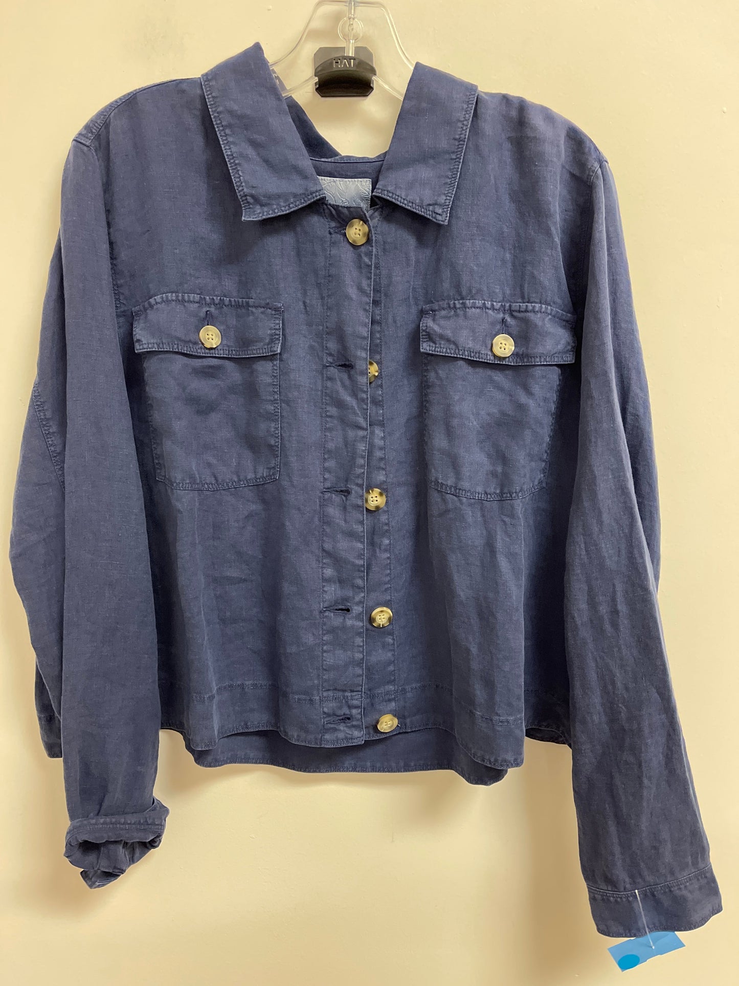 Blouse Long Sleeve By Tommy Bahama In Blue, Size: Xl