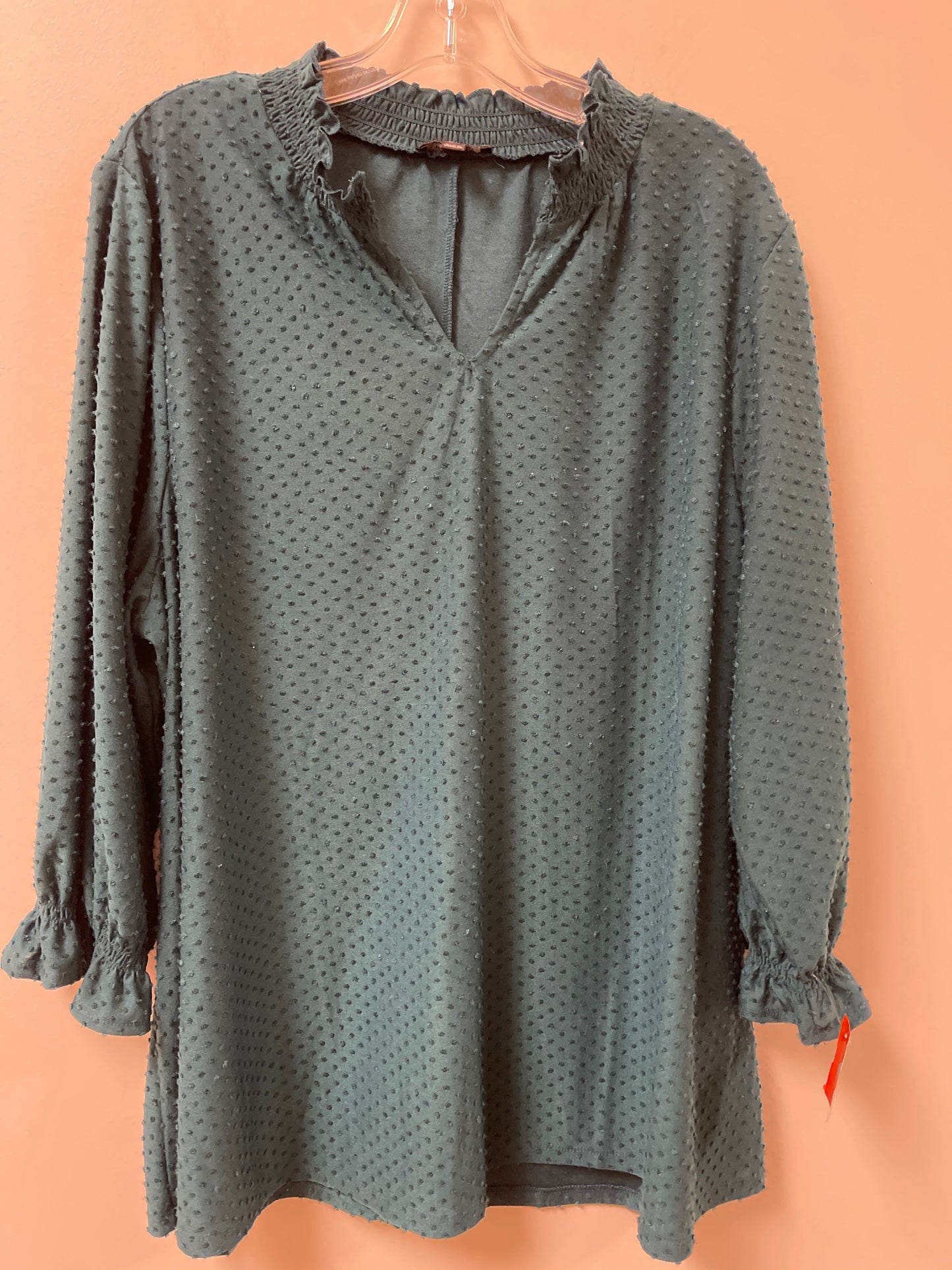 Top Long Sleeve By Lane Bryant In Teal, Size: 2x