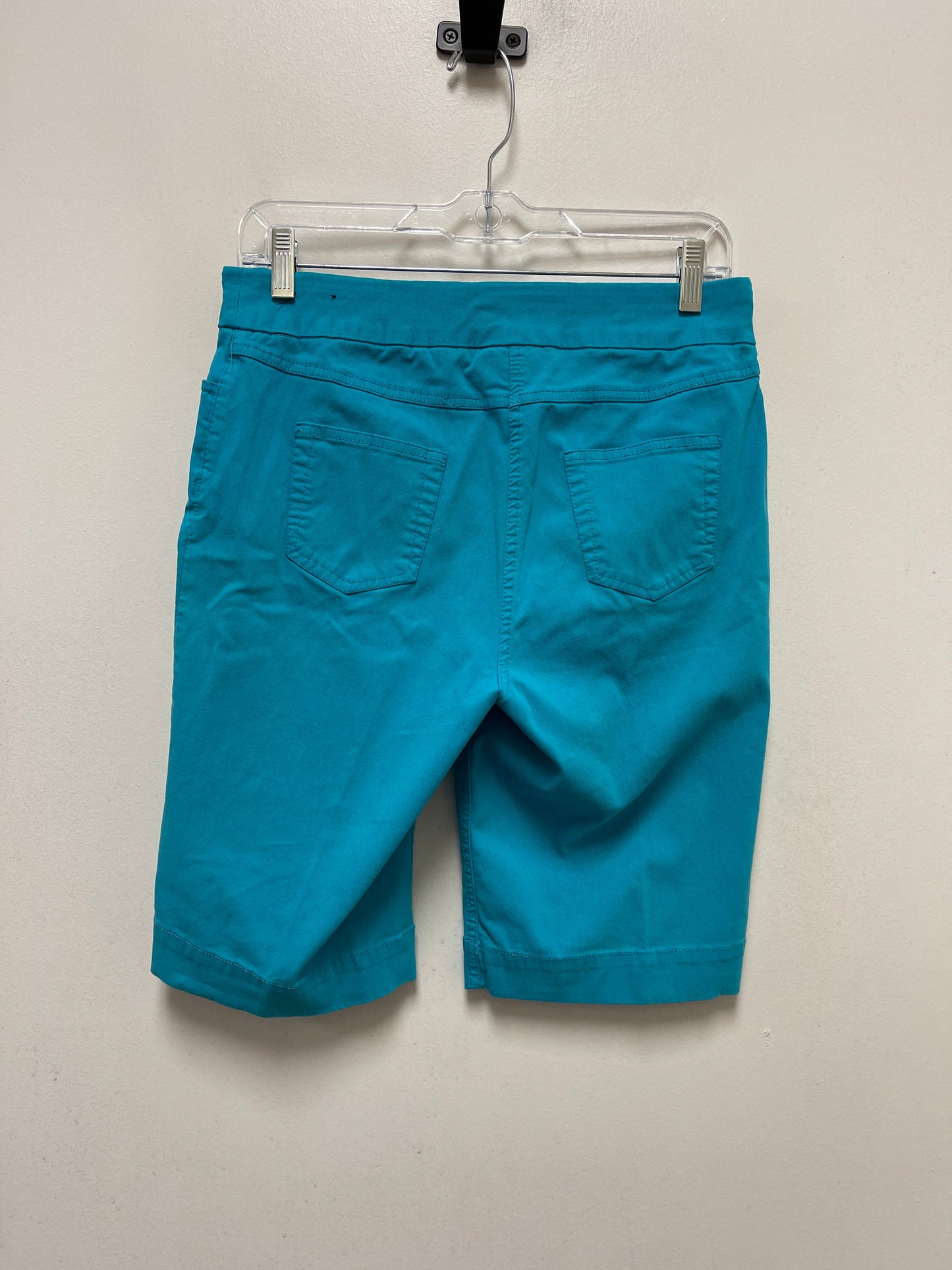 Blue Shorts Multiples, Size 10