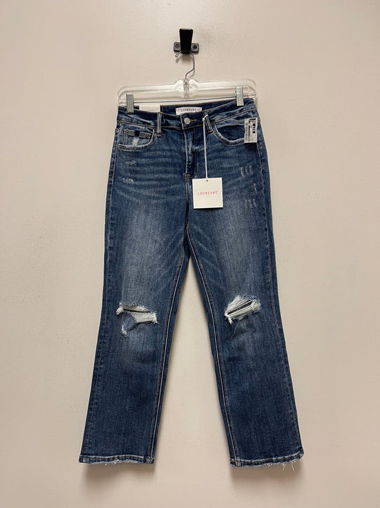 Blue Denim Jeans Straight Vervet, Size 4