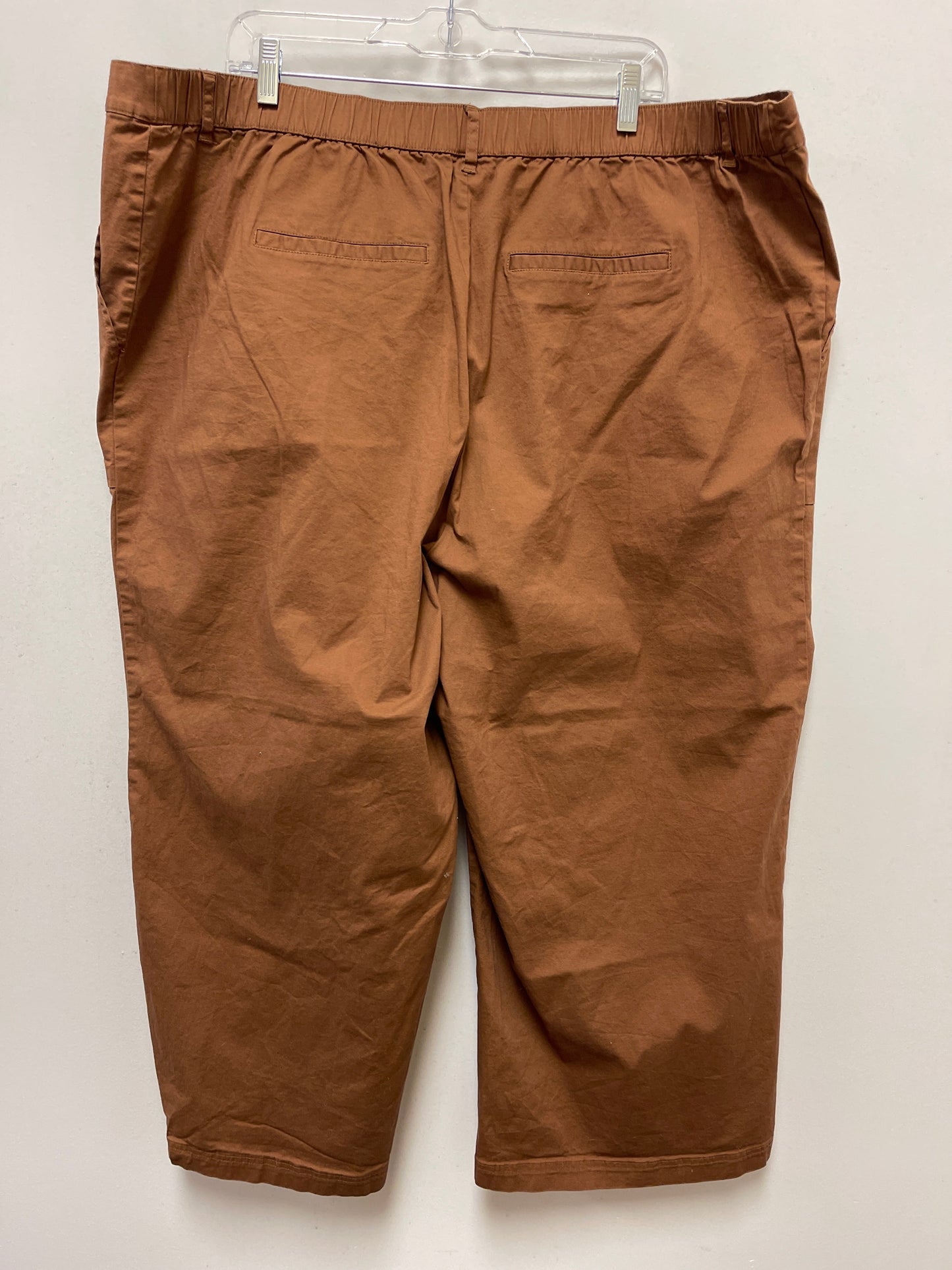 Brown Pants Other Ava & Viv, Size 22