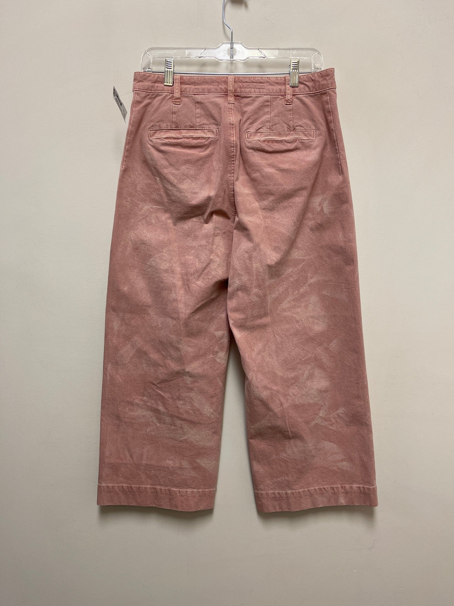 Pink Pants Other Pilcro, Size 10