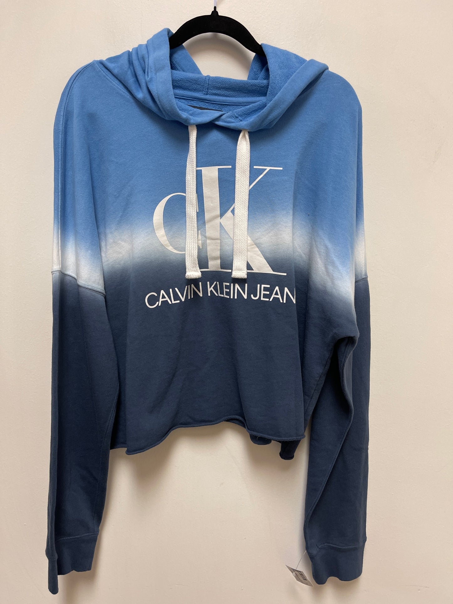 Sweater By Calvin Klein In Blue, Size: Xl