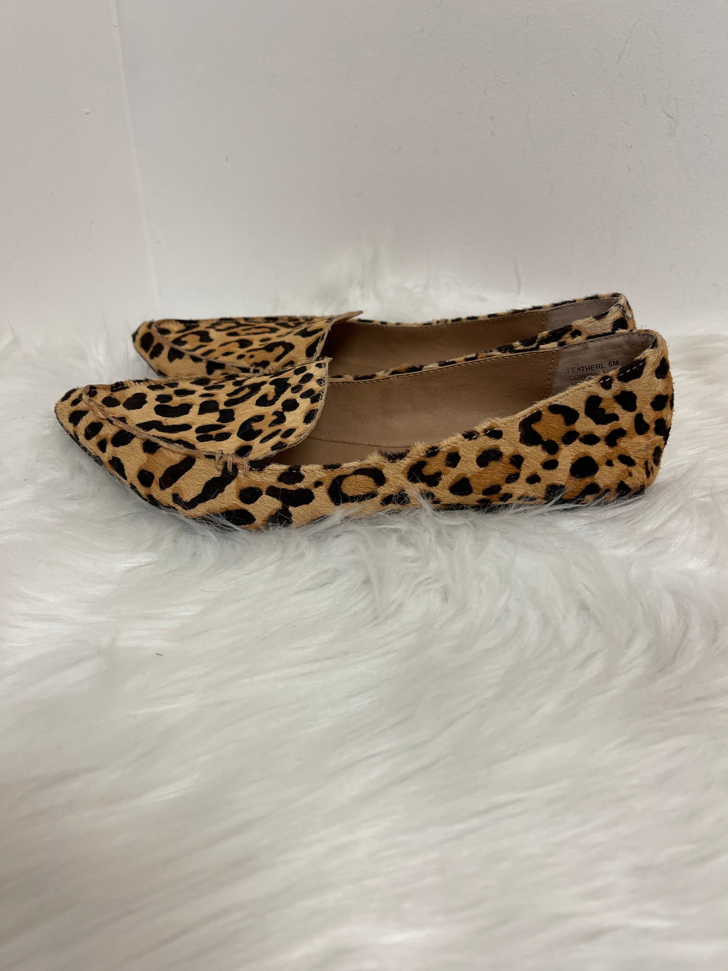 Shoes Flats By Steve Madden In Animal Print, Size: 6