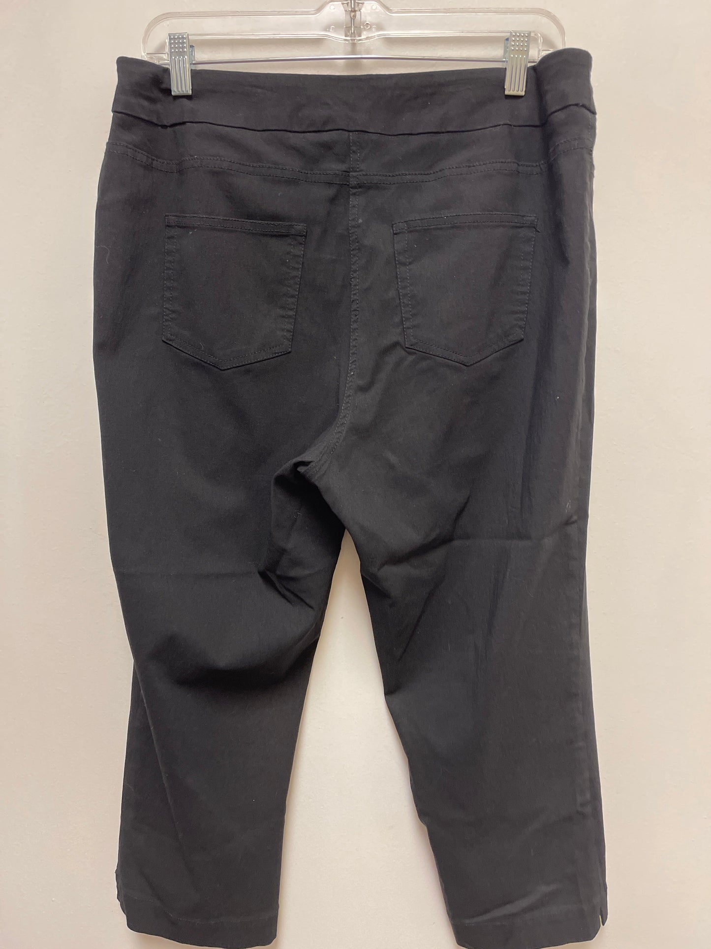 Pants Other By Soft Surroundings In Black, Size: L