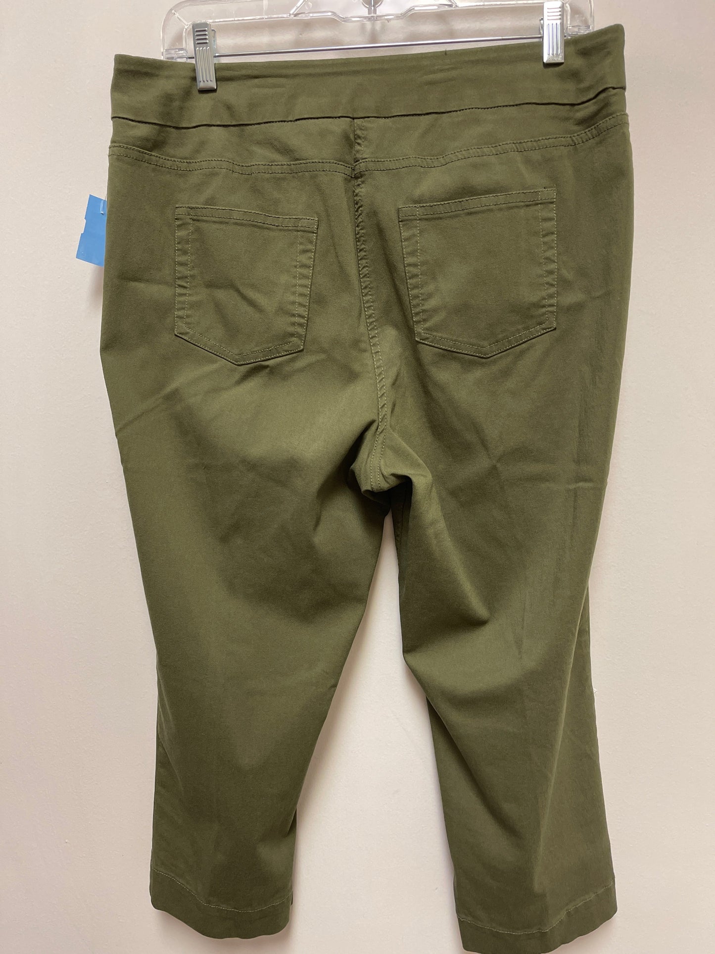 Pants Other By Soft Surroundings In Green, Size: L