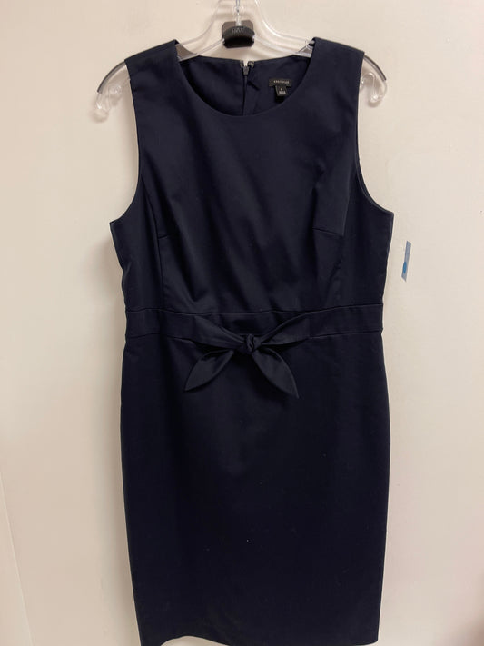 Dress Casual Short By Ann Taylor In Navy, Size: L