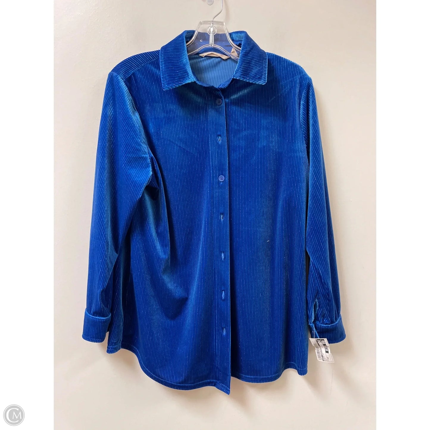 Blouse Long Sleeve By Soft Surroundings In Blue, Size: Mp