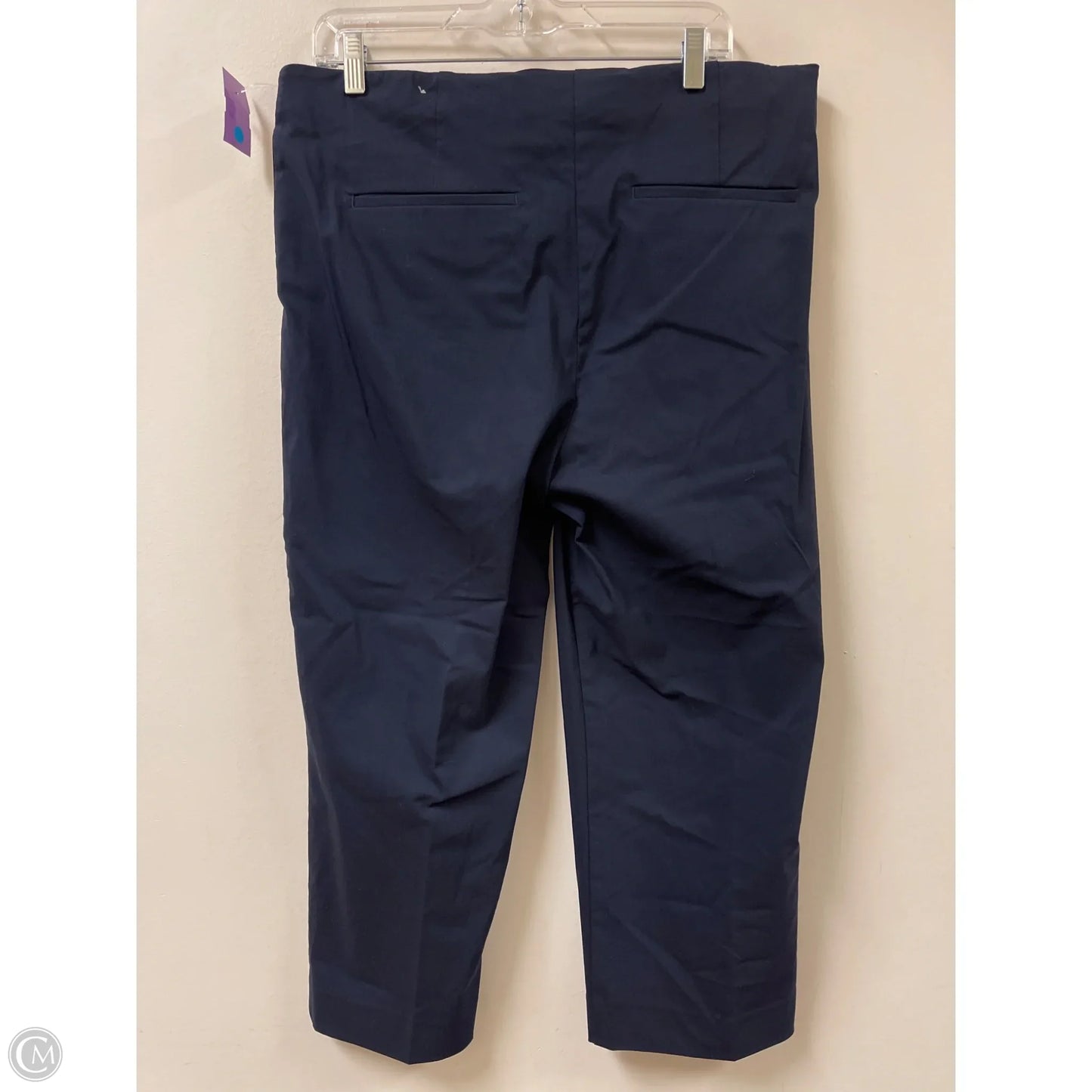 Pants Other By Chicos In Navy, Size: 14