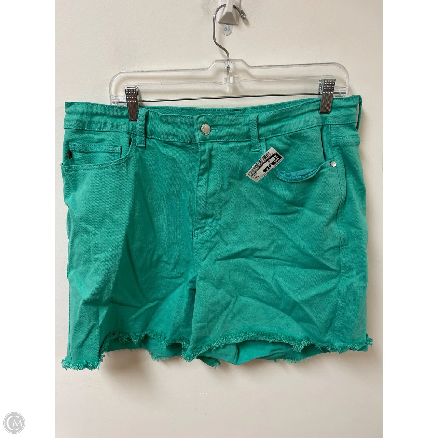 Shorts By Judy Blue In Teal, Size: 3x
