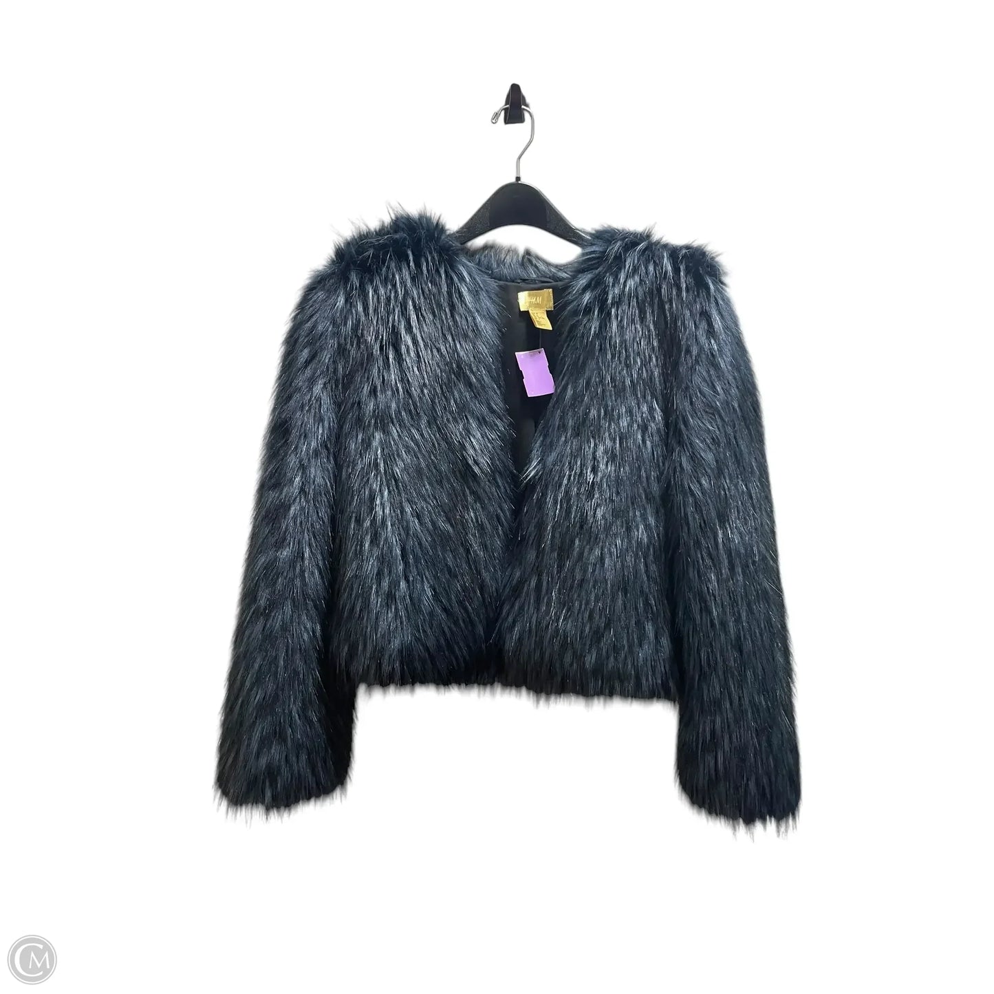 Coat Faux Fur & Sherpa By H&m In Blue, Size: 2