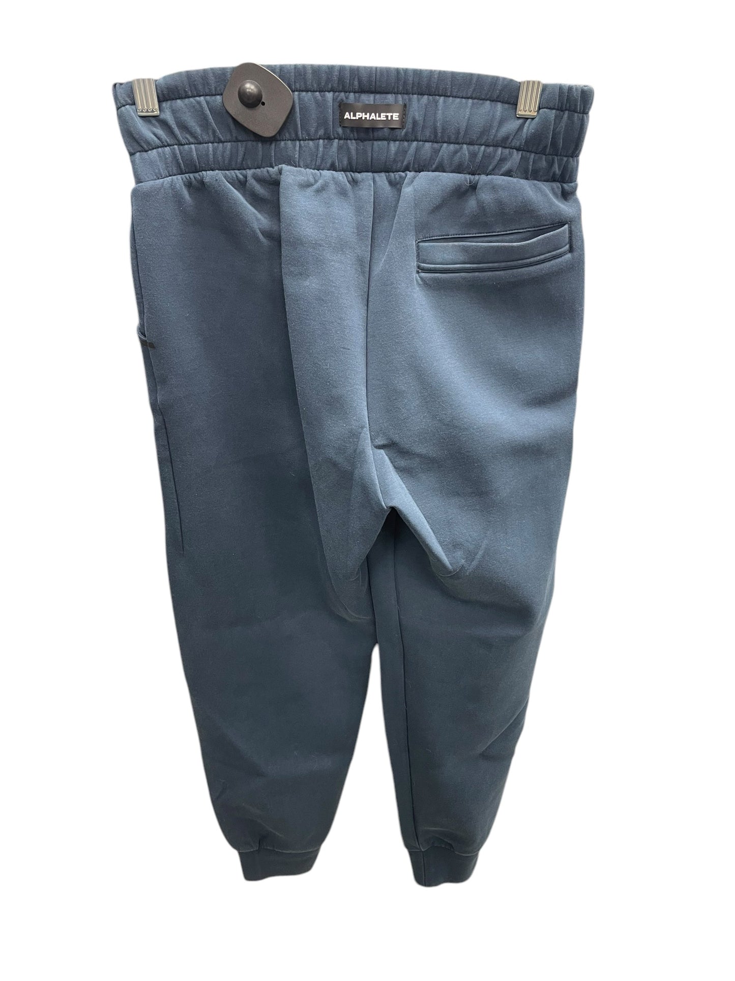 Athletic Pants By Clothes Mentor In Blue, Size: S