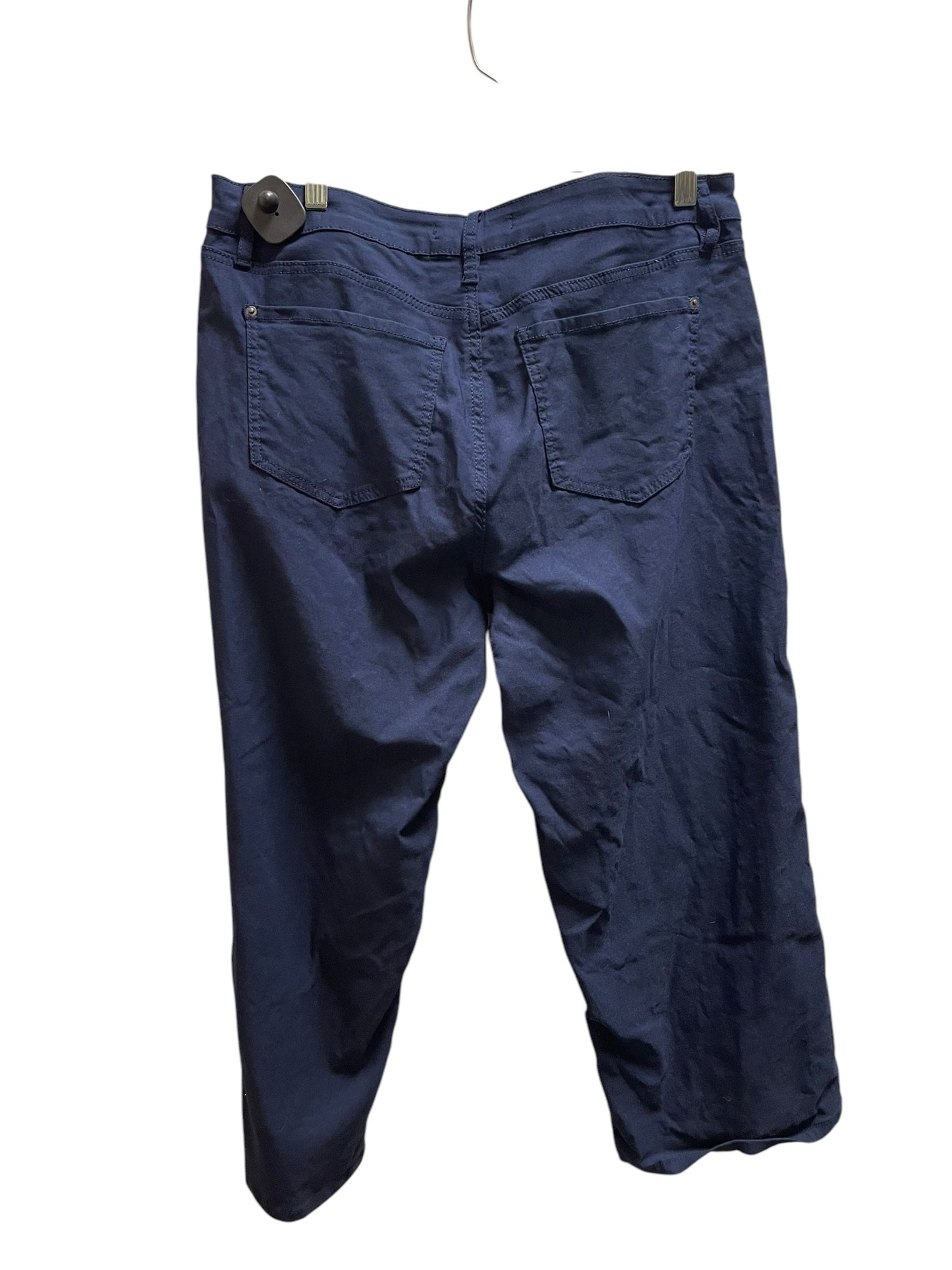 Pants Other By Clothes Mentor In Blue, Size: 2x