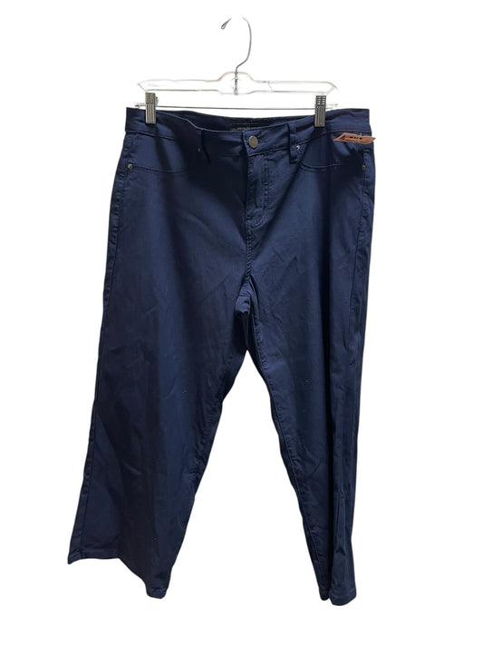 Pants Other By Clothes Mentor In Blue, Size: 2x