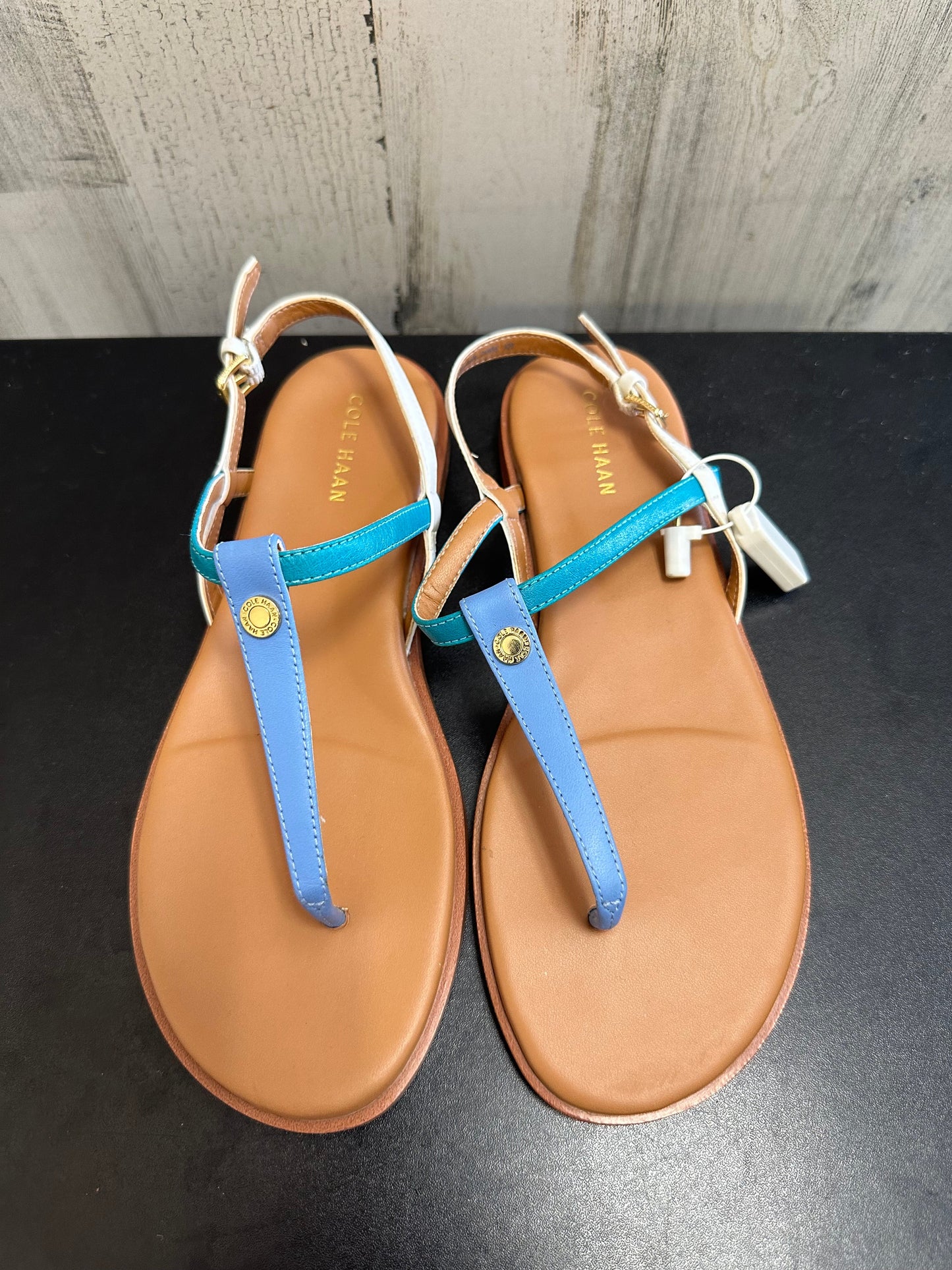 Blue & Brown Sandals Flats Cole-haan, Size 6