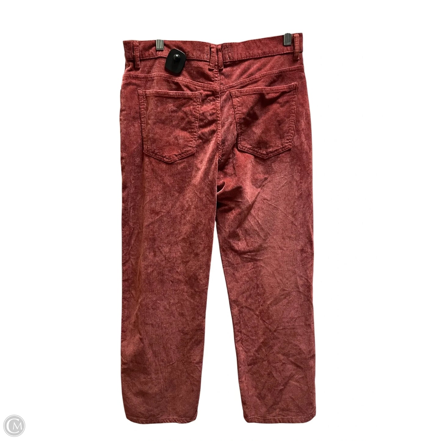 Pants Cargo & Utility By We The Free In Red, Size: 12