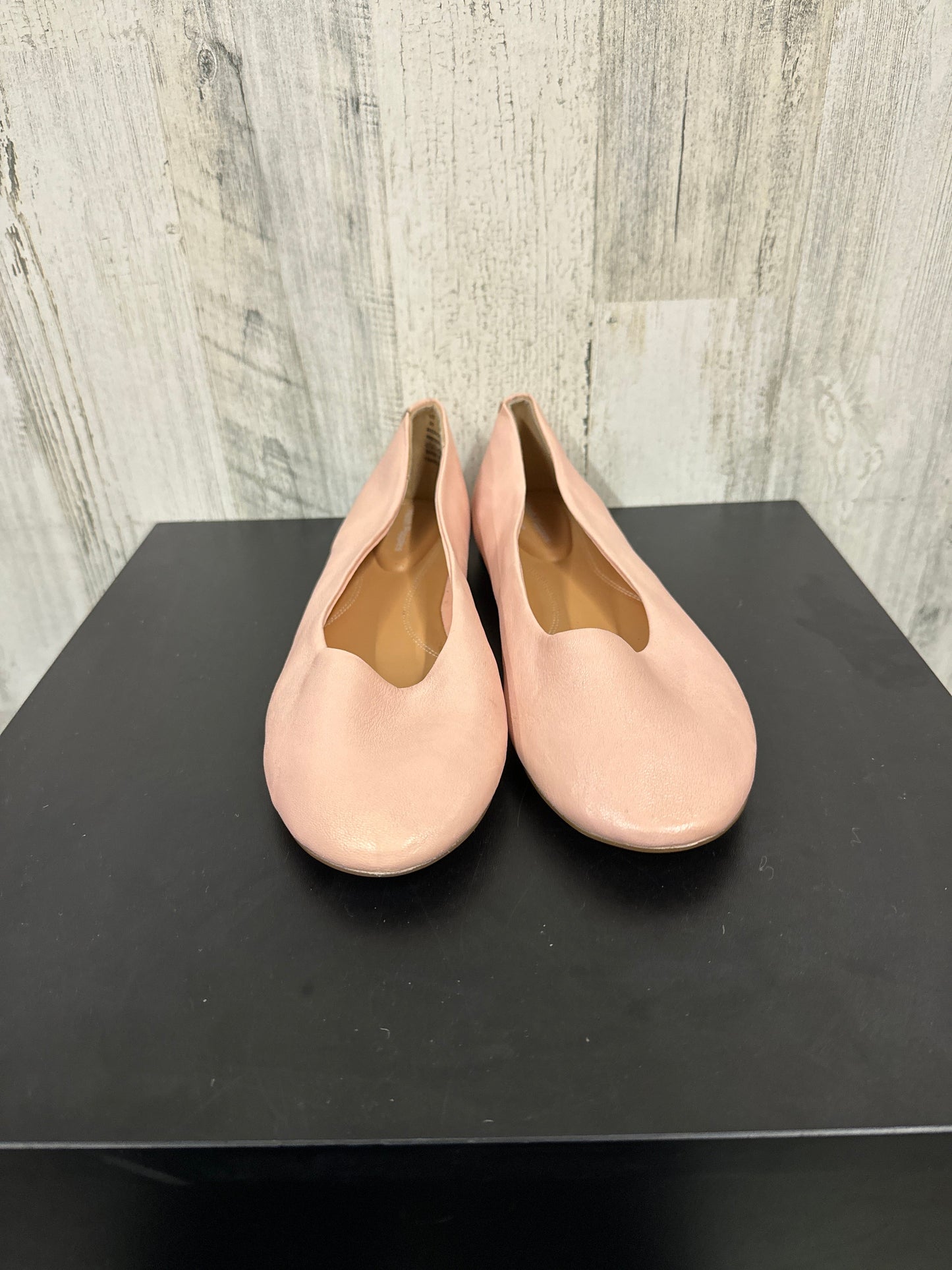 Shoes Flats Ballet By Hush Puppies  Size: 10