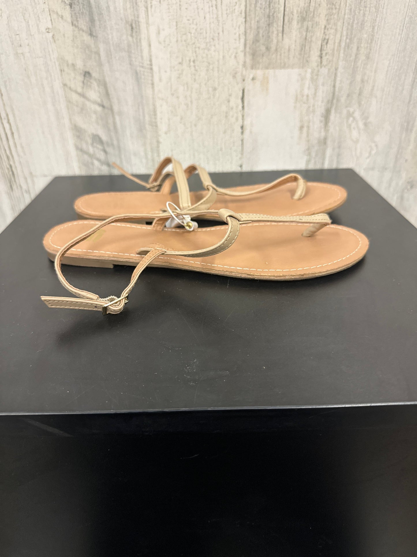 Sandals Flip Flops By American Eagle  Size: 9