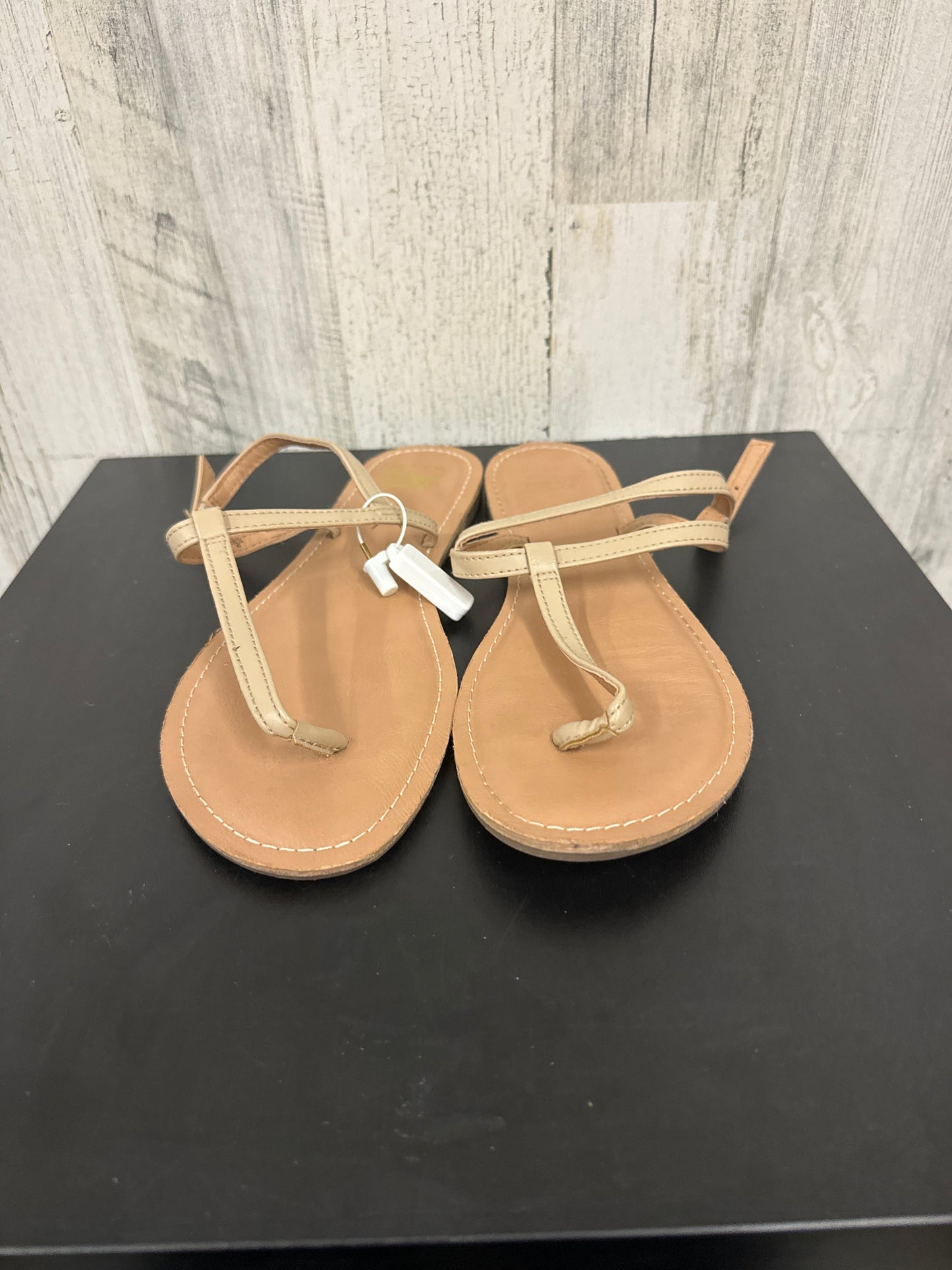 Sandals Flip Flops By American Eagle  Size: 9