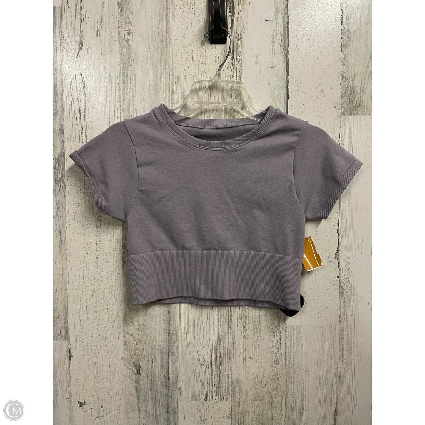 Athletic Top Short Sleeve By Aerie In Purple, Size: S