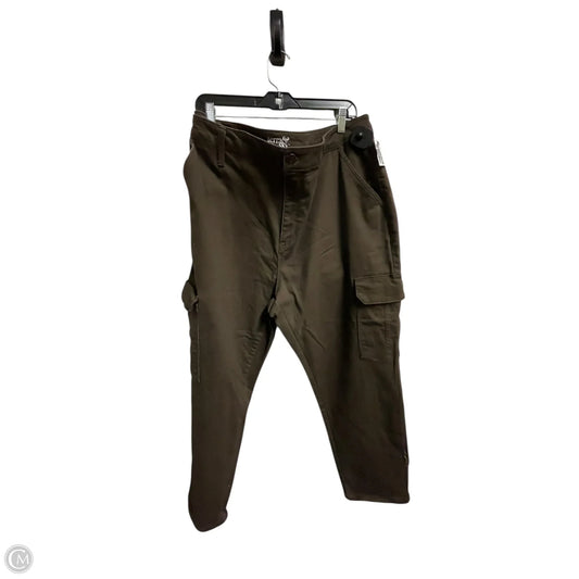 Jeans Straight By Terra & Sky In Brown Denim, Size: 22