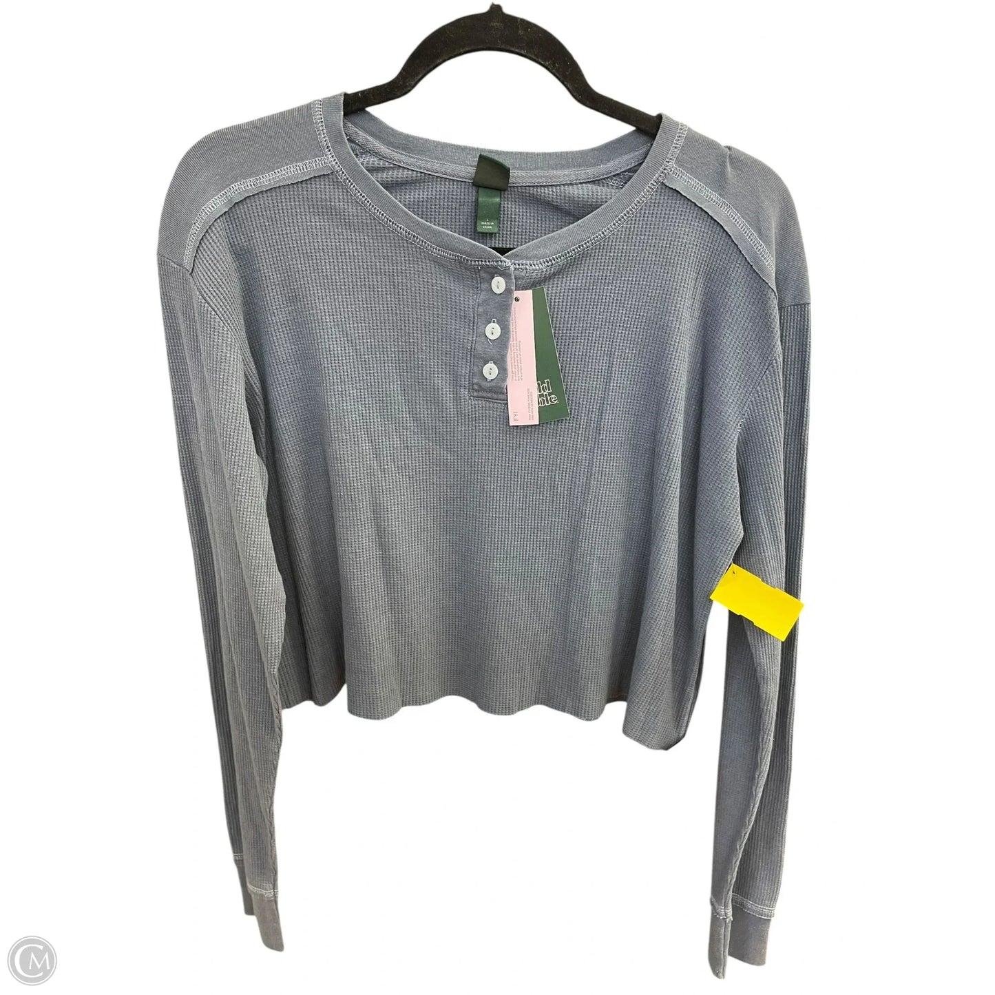 Top Long Sleeve By Wild Fable In Blue, Size: L