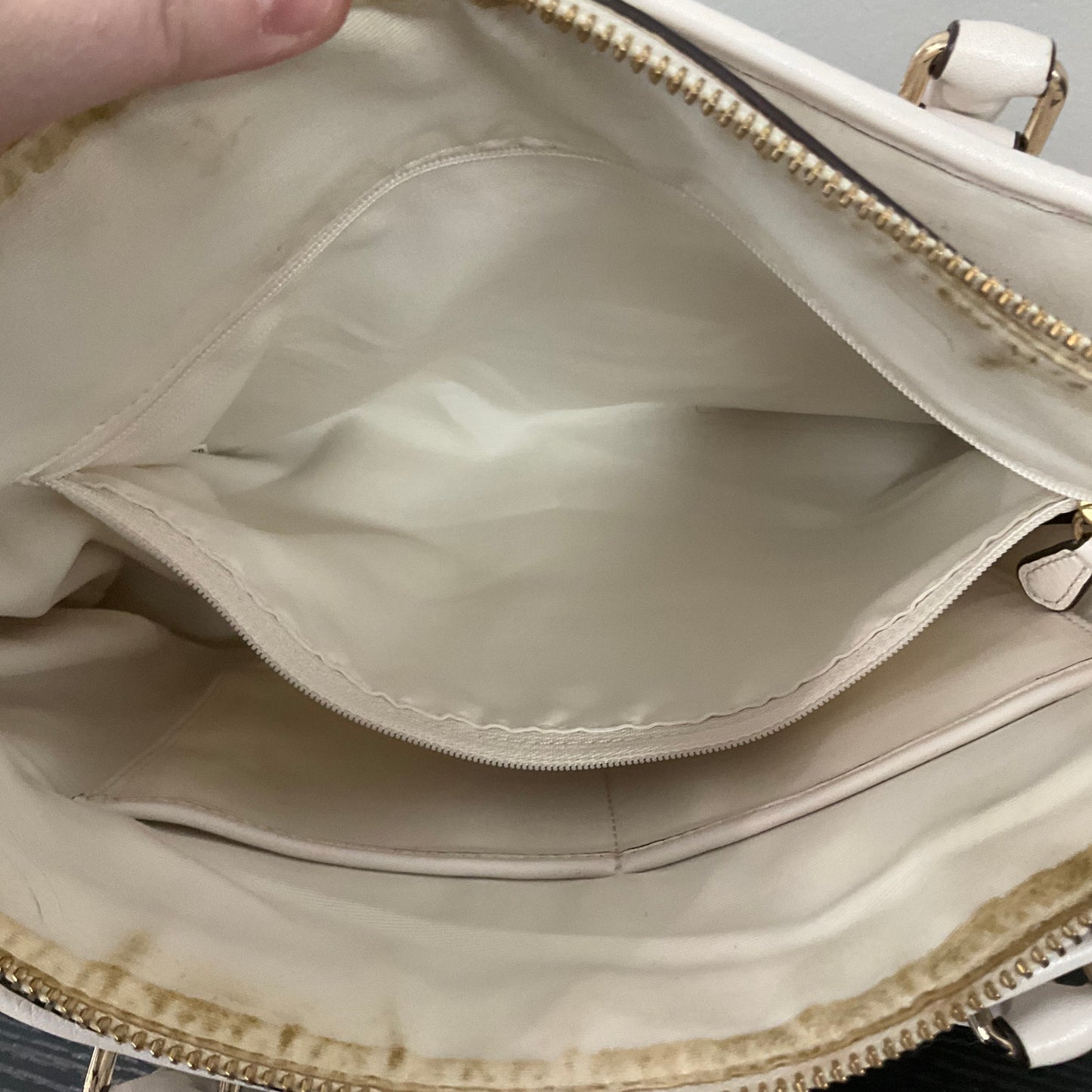 Handbag Designer By Coach, Size: Medium