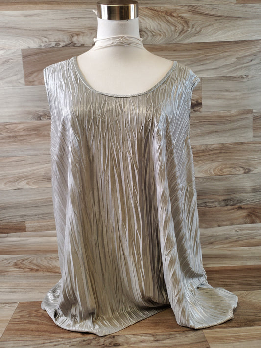 Top Sleeveless By Susan Graver In Silver, Size: 2x