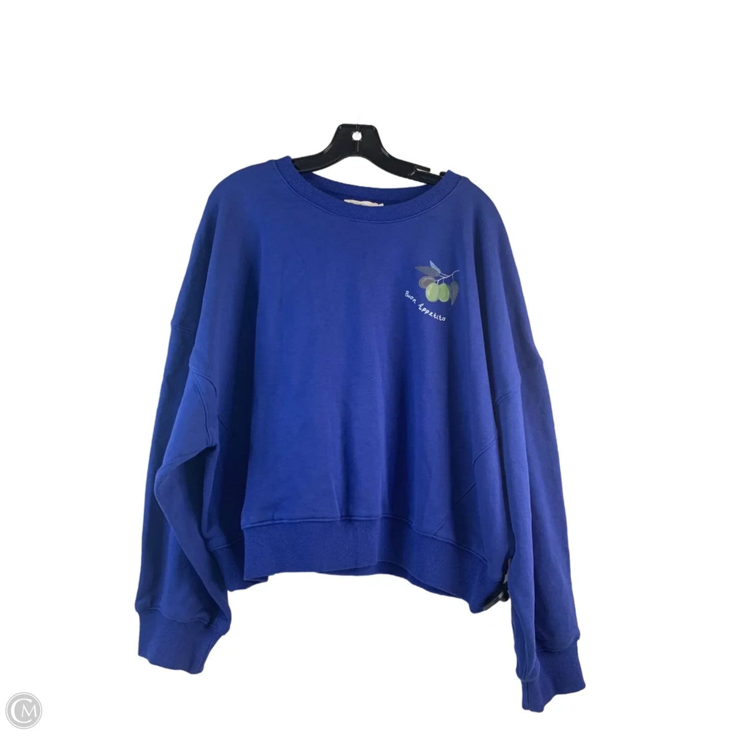 Sweatshirt Crewneck By Clothes Mentor In Blue, Size: L
