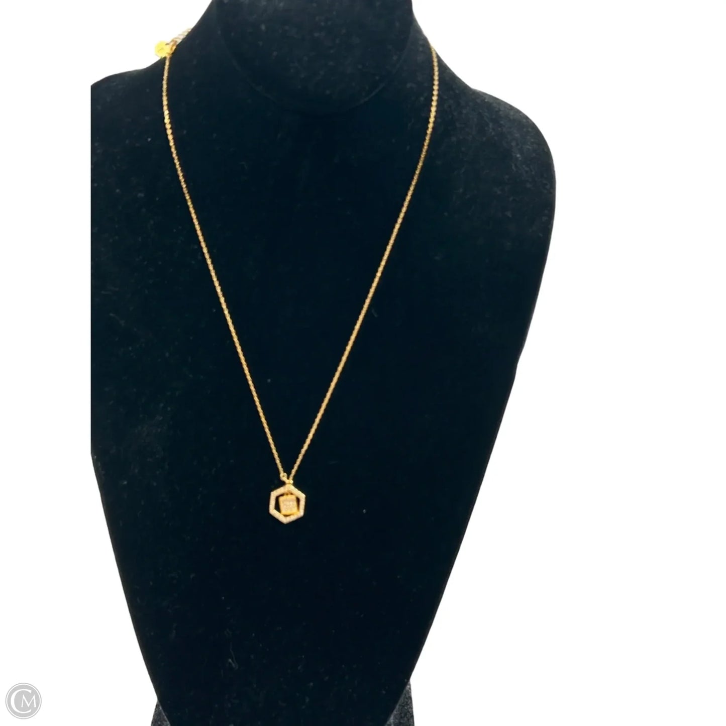 Necklace Pendant By Clothes Mentor