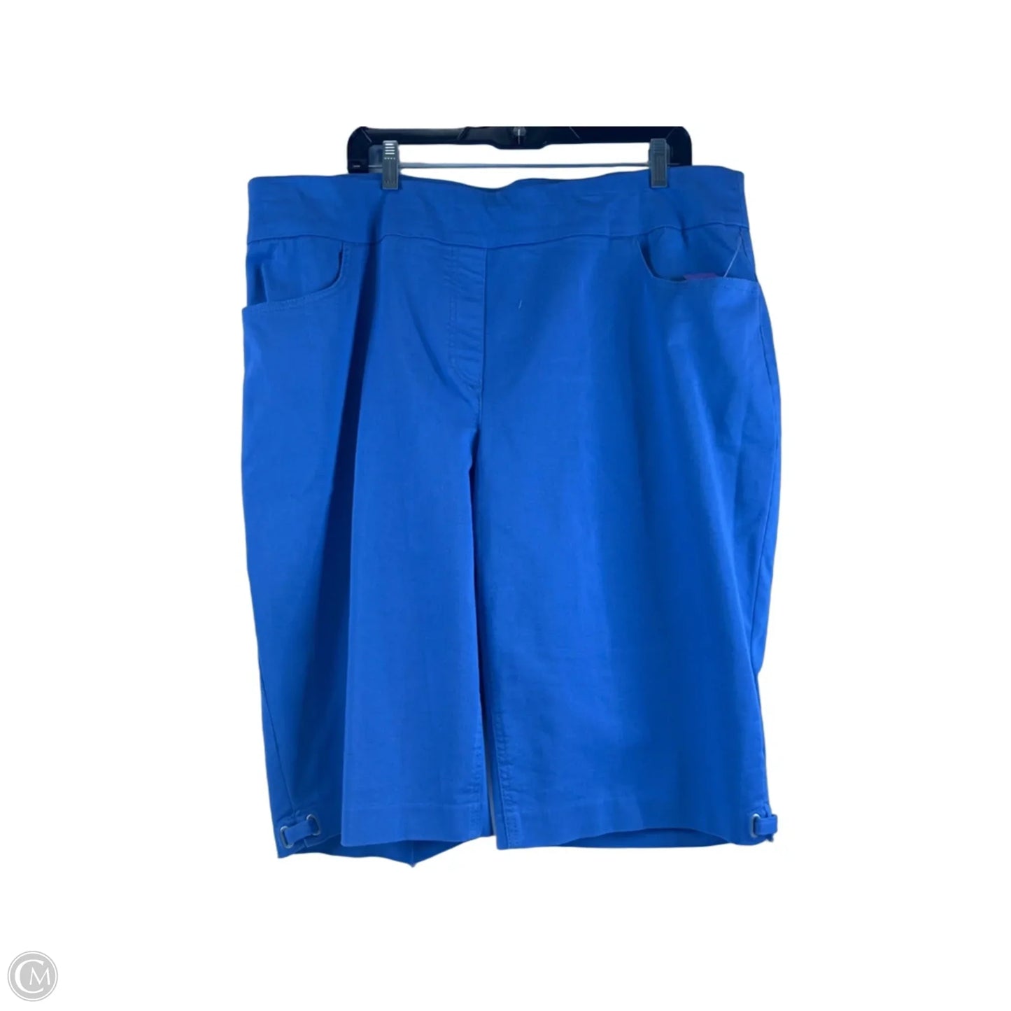 Shorts By Clothes Mentor In Purple, Size: 20