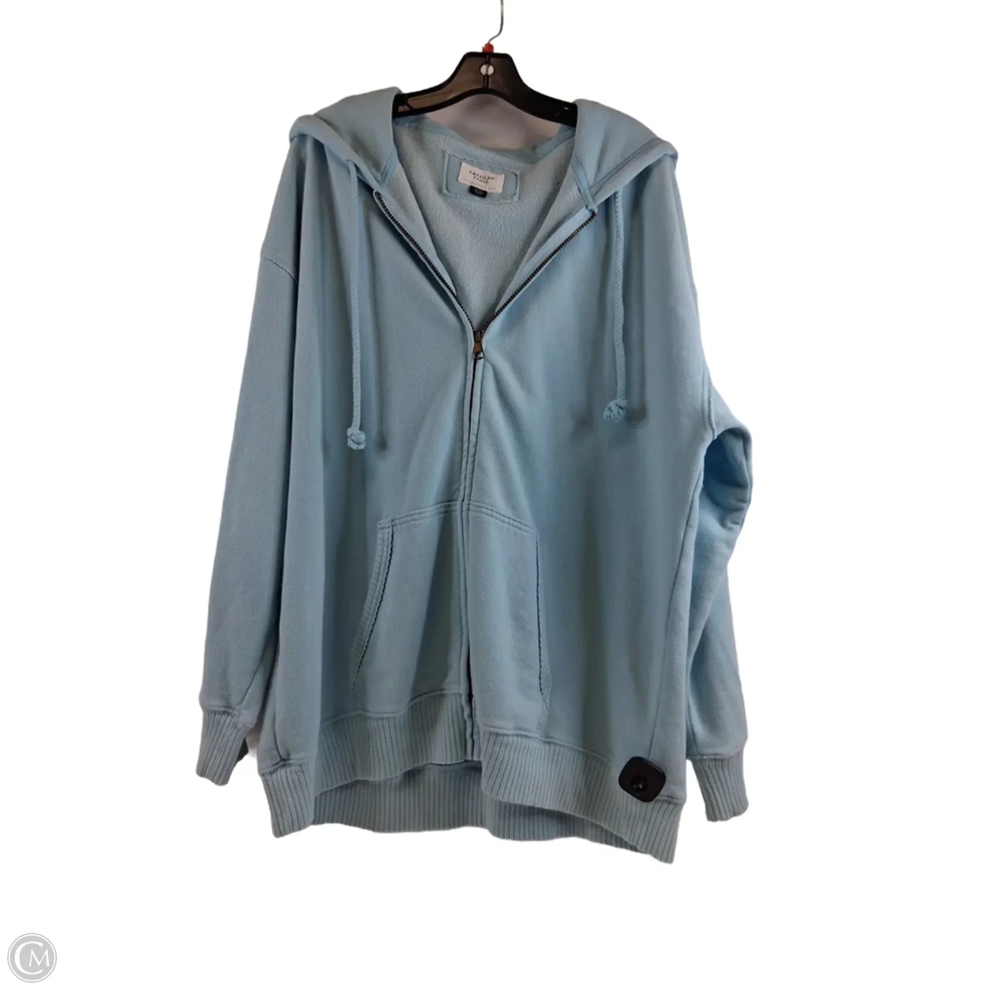 Sweatshirt Hoodie By American Eagle In Teal, Size: L