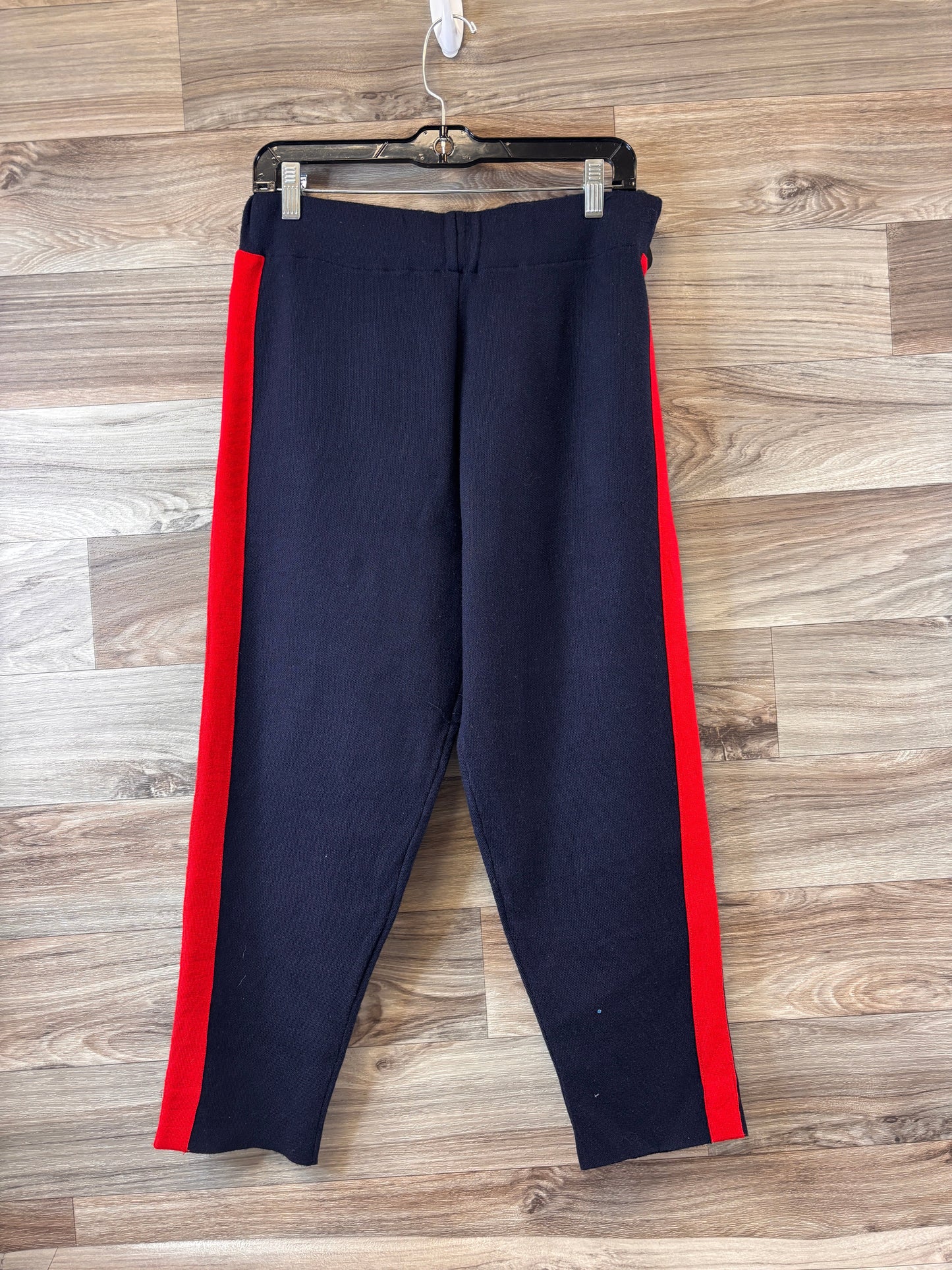 Pants Other By Zara In Navy, Size: 8