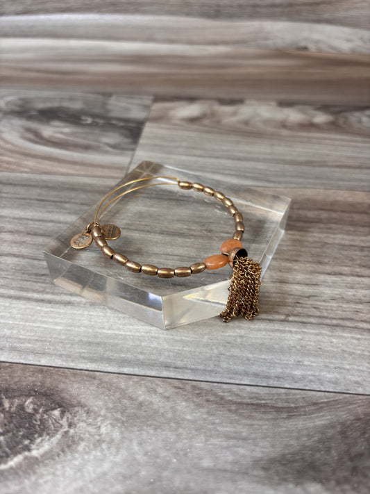 Bracelet Bangle By Alex And Ani