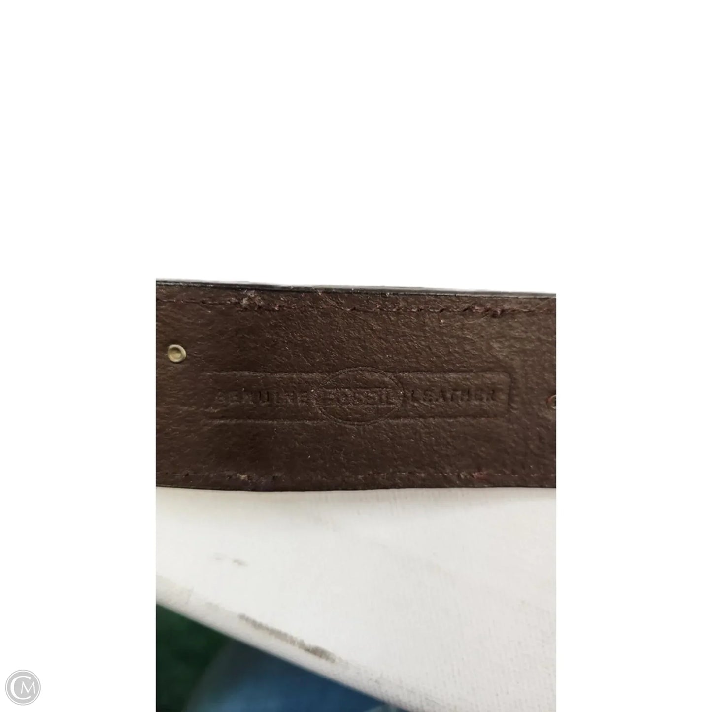 Belt By Fossil, Size: Large