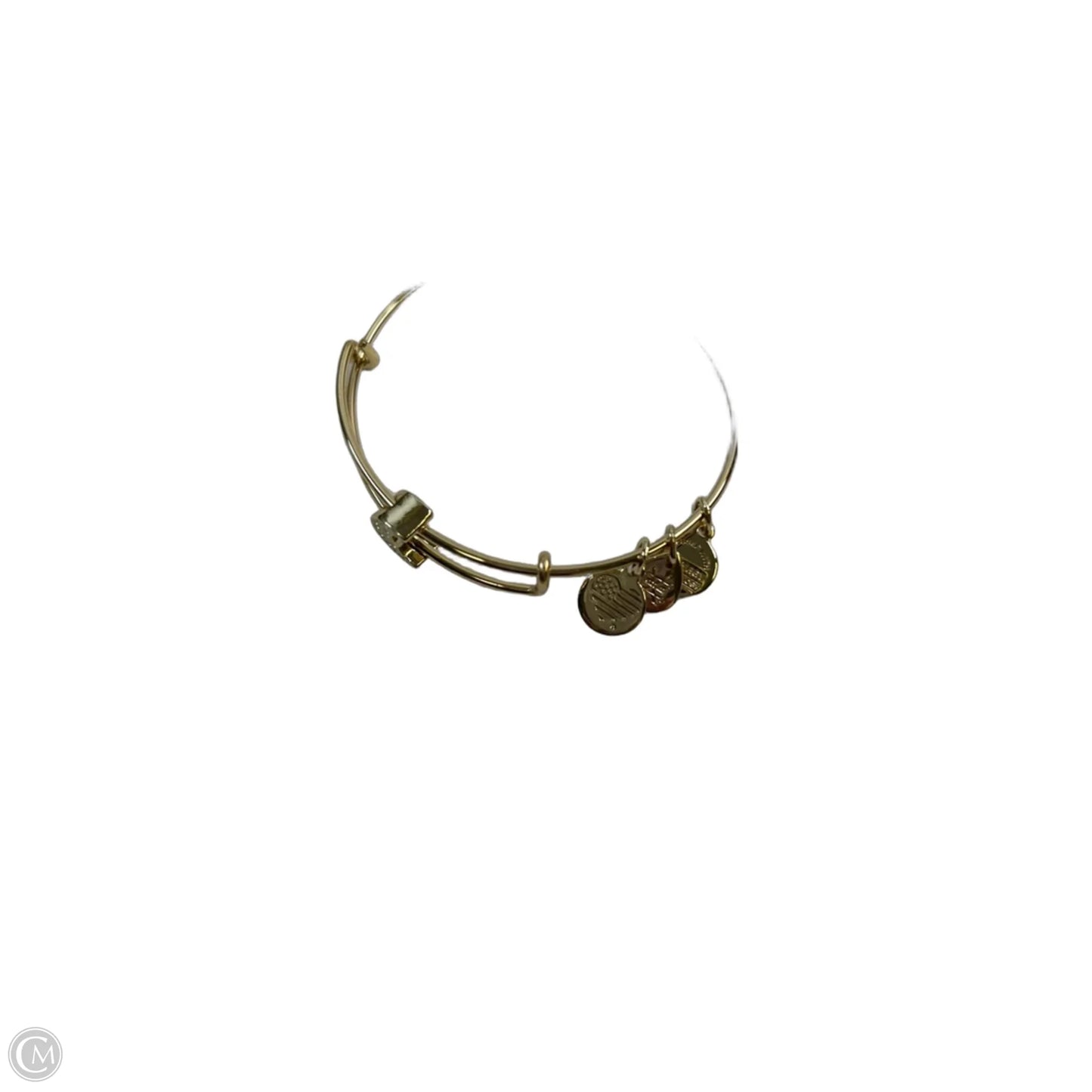 Bracelet Bangle By Alex And Ani