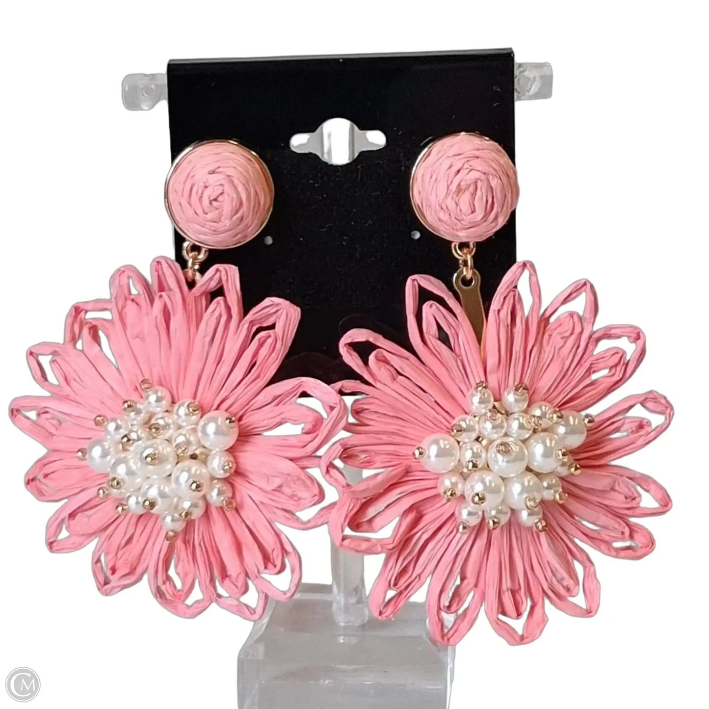 Earrings Designer By Lilly Pulitzer